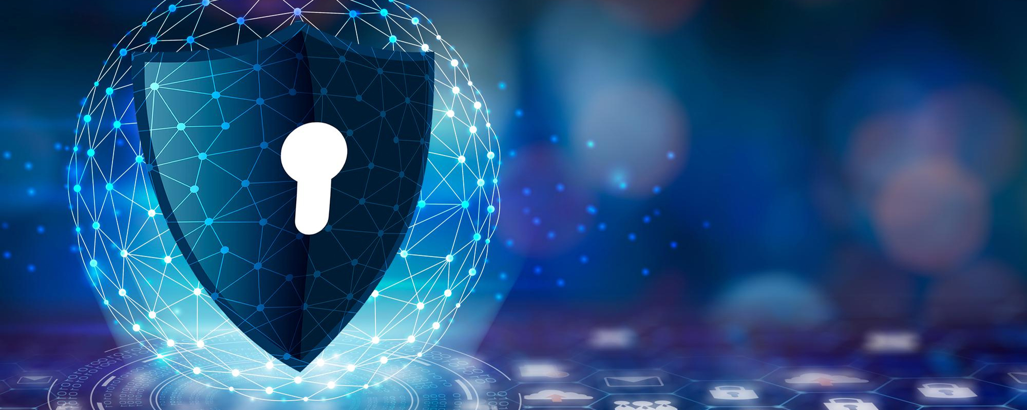 Application Security Training